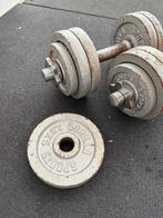 Dumbbellset 30 kg Gietijzer, Ophalen, Gebruikt, Benen, Dumbbell