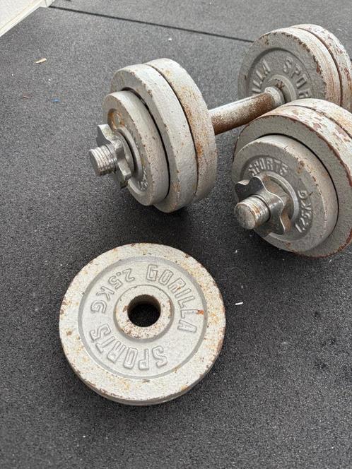 Dumbbellset 30 kg Gietijzer, Sport en Fitness, Fitnessmaterialen, Gebruikt, Dumbbell, Armen, Benen, Borst, Buik, Rug, Ophalen