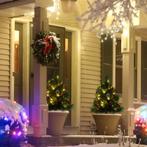 Mini Kerstboompjes kerstboom set van 2, Overige soorten, Volle zon, Vaste plant, Ophalen of Verzenden