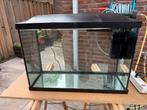 Superfish aquarium 58 cm, led verlichting, Dieren en Toebehoren, Vissen | Aquaria en Toebehoren, Ophalen, Leeg aquarium