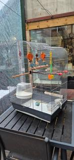 Vogelkooi, Dieren en Toebehoren, Ophalen, Metaal, Vogelkooi