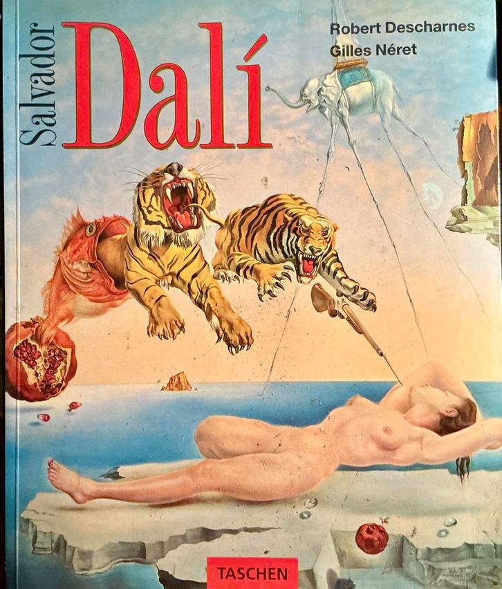 Beeldende Kunst. Schilder-en beeldhouwkunst. Etc. Ca 1000 st, Boeken, Kunst en Cultuur | Beeldend, Gelezen, Schilder- en Tekenkunst