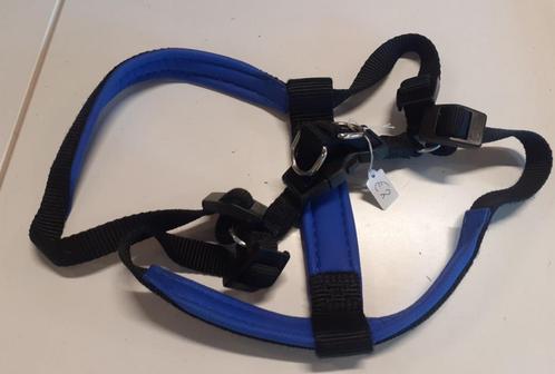 Blauw zwart hondentuig 55 cm, Dieren en Toebehoren, Hondenriemen, Gebruikt, Ophalen