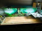 Aquarium voor schildpad of reptielen, Dieren en Toebehoren, Ophalen