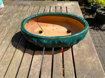 Bonsai grote Chinese schaal VINTAGE beschikbaar voor biedingen