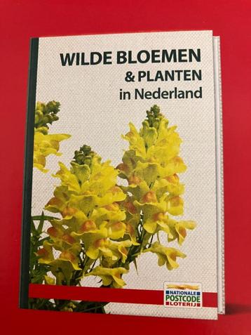 Nieuw, niet uitgepakt: Wilde bloemen en planten in Nederland beschikbaar voor biedingen