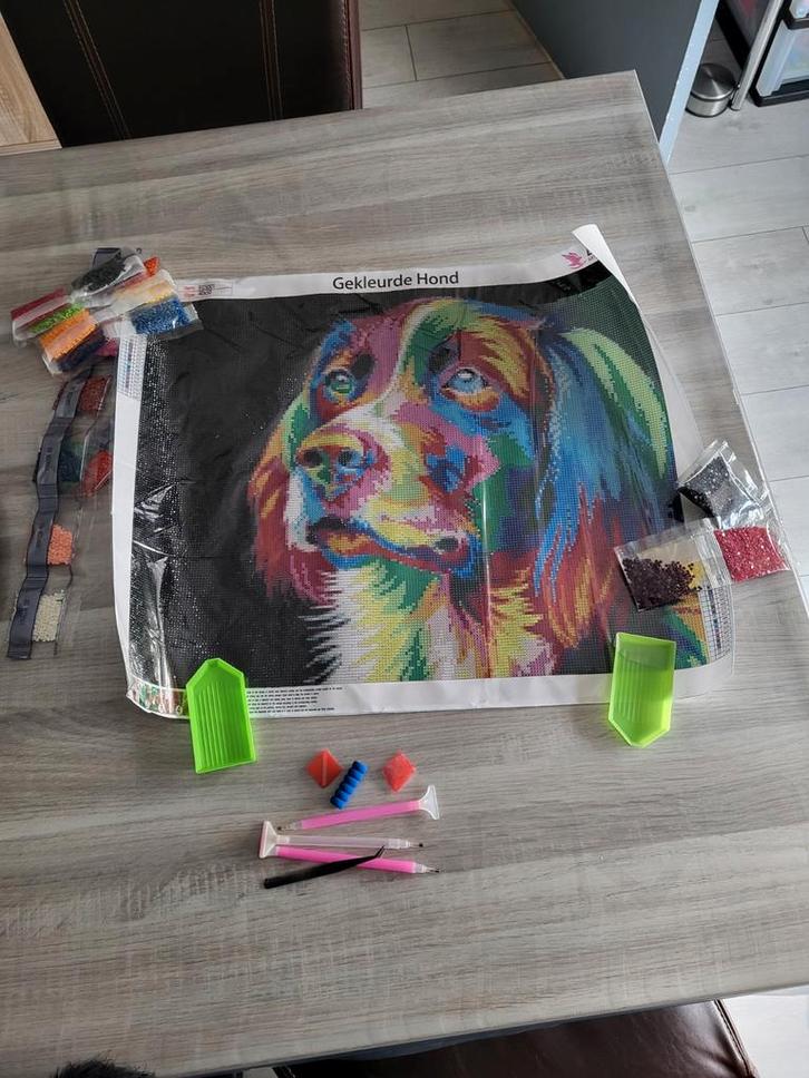 Diamond painting hond omranding af 40x50 cm, Hobby en Vrije tijd, Overige Hobby en Vrije tijd, Zo goed als nieuw, Ophalen of Verzenden