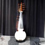 Indian Sarod, in the Ali Akbar Khan style, Ophalen, Zo goed als nieuw, Overige typen