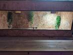 Terrarium te koop van osb 150x50, Ophalen, Zo goed als nieuw, Terrarium of Paludarium