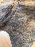 Koeienhuid 185/133 cm, Gebruikt, Etten-Leur, 150 tot 200 cm, DJT@dejuistetoon.eu