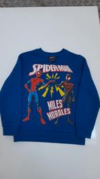 Jongens spiderman trui, Ophalen, Zo goed als nieuw, Jongen, Trui of Vest