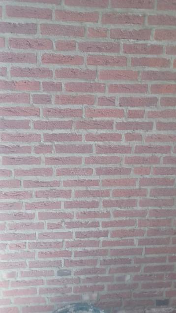 190 metselstenen beschikbaar voor biedingen