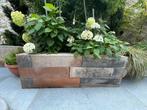 Blockstone 15x15x60 - 50 stuks, Ophalen, Nieuw, Beton, Klinkers