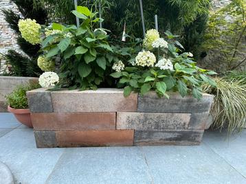 Blockstone 15x15x60 - 50 stuks beschikbaar voor biedingen
