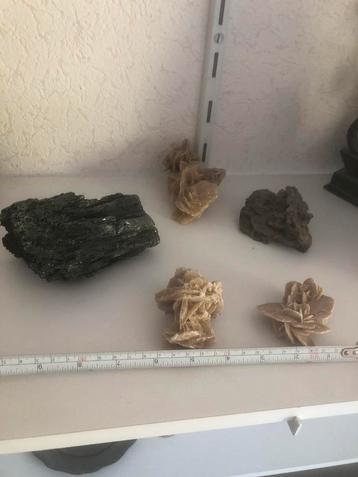 Mineralen woestijn roos beschikbaar voor biedingen
