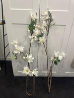Magnolia takken kunsttak xxl, Ophalen, Zo goed als nieuw
