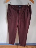 Bordeauxrode "Mr Marvis" herenbroek/chino. Mt.32/M., Overige kleuren, Maat 48/50 (M), Ophalen of Verzenden, Mr Marvis