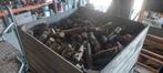 Haardhout appel, Tuin en Terras, Haardhout, 3 tot 6 m³, Ophalen