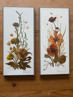 Henni original ingelijste droogbloemen uit Canada, Huis en Inrichting, Ophalen of Verzenden, Gebruikt, Hout, Minder dan 50 cm