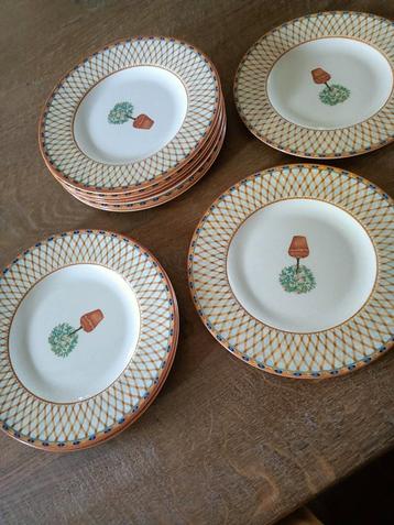 10 Engelse Lemon Tree Servies Bordjes beschikbaar voor biedingen