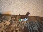 Schleich Labrador Pup - Nieuw!, Ophalen of Verzenden, Nieuw