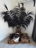 Decoratie wonen, Ophalen, Zo goed als nieuw