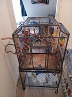 Montana papegaaienkooi compleet TE KOOP, Dieren en Toebehoren, Ophalen, Zo goed als nieuw, Metaal, Vogelkooi
