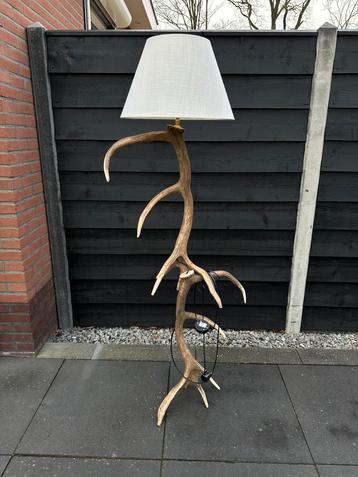 Gewei geweien lamp jacht Veluwe geweien edelhert vloerlamp beschikbaar voor biedingen