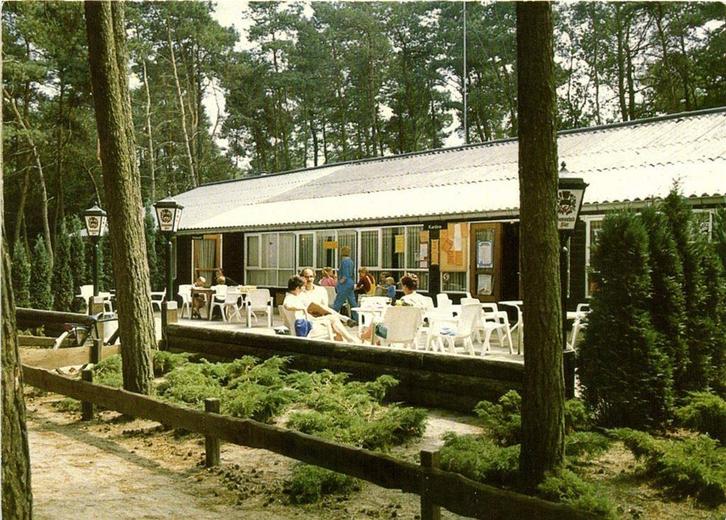 Camping De Paal, Bergeyk - 1990 gelopen, Verzamelen, Ansichtkaarten | Nederland, Ongelopen, Noord-Brabant, Voor 1920, Ophalen of Verzenden