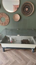 Konijn/cavia hok, Dieren en Toebehoren, Knaagdieren en Konijnen | Hokken en Kooien, Hok, Cavia, Ophalen, Minder dan 60 cm