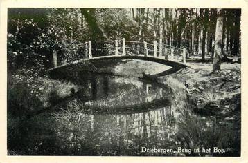 (388-323-031) Driebergen-Rijsenburg Brug in het Bos beschikbaar voor biedingen