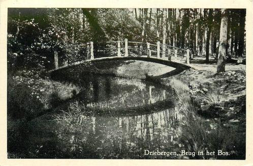 (388-323-031) Driebergen-Rijsenburg Brug in het Bos, Verzamelen, Ansichtkaarten | Nederland, Utrecht, Verzenden