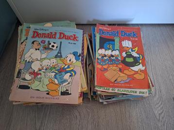 Donald duck beschikbaar voor biedingen