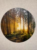 Muurcirkel Bomen schilderij, Ophalen of Verzenden