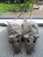 2 x Dikke Rat van IKEA Gosig Ratta grijs velours, Kinderen en Baby's, Speelgoed | Knuffels en Pluche, Ophalen of Verzenden, Zo goed als nieuw