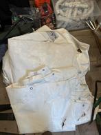 Partytent Bois le Duc 4x8m, Ophalen, Gebruikt, Opvouwbaar, Partytent