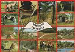 COEVORDEN Dieren Landschappen Groeten, Verzamelen, Ansichtkaarten | Nederland, Verzenden, 1980 tot heden, Ongelopen, Drenthe