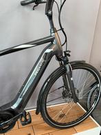 Elektrische herenfiets PEGASUS RAVENNA EVO5 Belt BOSCH, Overige merken, Versnellingen, Ophalen of Verzenden, Zo goed als nieuw