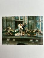Beatrix en Claus, Ophalen of Verzenden, Zo goed als nieuw, Nederland, Kaart, Foto of Prent