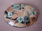 Mooie broche met afbeeldingen van schelpen - 6 cm breed, Sieraden, Tassen en Uiterlijk, Broches, Overige materialen, 4 tot 7 cm
