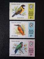 Salomon Eilanden 1975 Vogels, Ophalen of Verzenden, Postfris