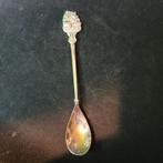 Vintage Verzilverde Lepel Drenthe Ellert en Brammert Pako, Ophalen of Verzenden, Gebruikt