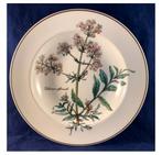 Villeroy & Boch Botanica Serviesdelen foto ter illustratie, Antiek en Kunst, Ophalen of Verzenden