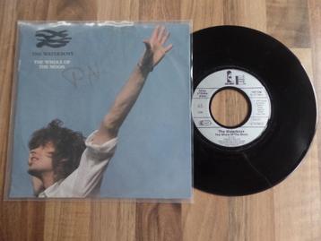 single  The Waterboys - The Whole Of The Moon  beschikbaar voor biedingen