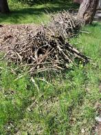 Sprokkelhout stookhout, 3 tot 6 m³, Ophalen, Overige houtsoorten, Takken