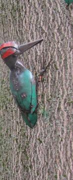 GROENE SPECHT - IJZER - STREET ART - FAIR TRADE, Ophalen of Verzenden, Nieuw