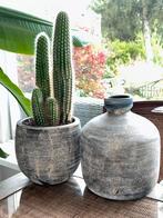 Cactus in pot en vaas set, Ophalen of Verzenden, Minder dan 100 cm, Volle zon, In pot