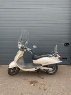 Sym Cello Scooter, Ophalen, Gebruikt, Overige modellen, Benzine