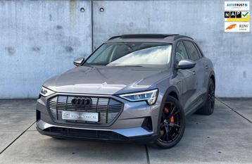 Audi E-tron 50 QUATTRO LAUNCH EDITION PLUS PANO NAP BTW beschikbaar voor biedingen