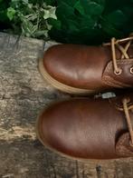 Nieuwe boots van Panama Jack maat 38, Bruin, Lage of Enkellaarzen, Nieuw, Ophalen of Verzenden